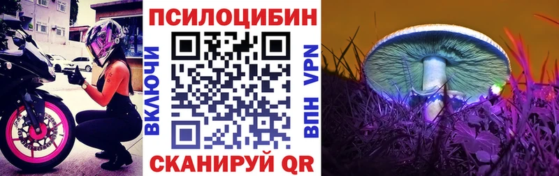 Галлюциногенные грибы GOLDEN TEACHER  где купить наркотик  Устюжна 